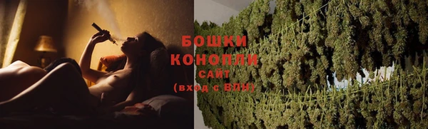 PSILOCYBIN Пересвет