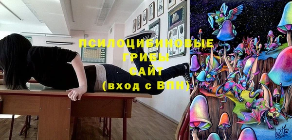 PSILOCYBIN Пересвет