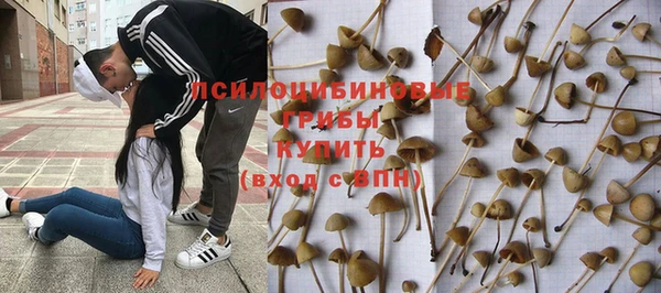PSILOCYBIN Пересвет
