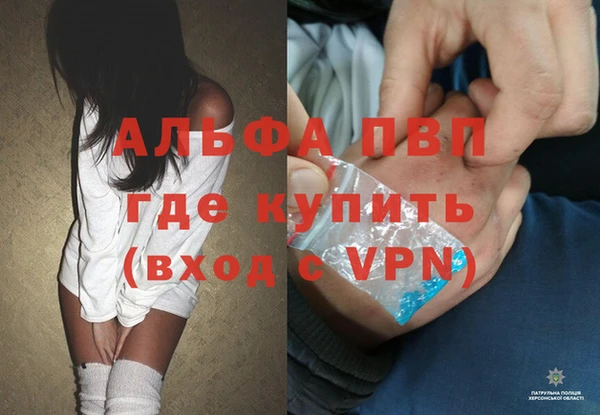 PSILOCYBIN Пересвет