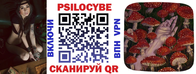 Псилоцибиновые грибы Psilocybine cubensis  Прокопьевск 