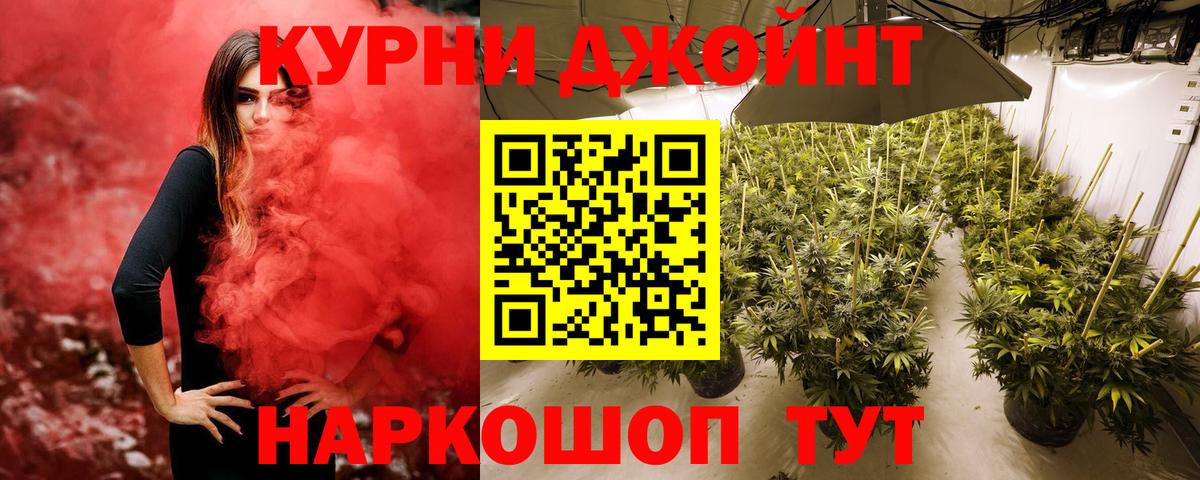 Каннабис White Widow Прокопьевск